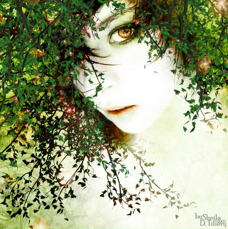 Наталья Чикаева | Самара