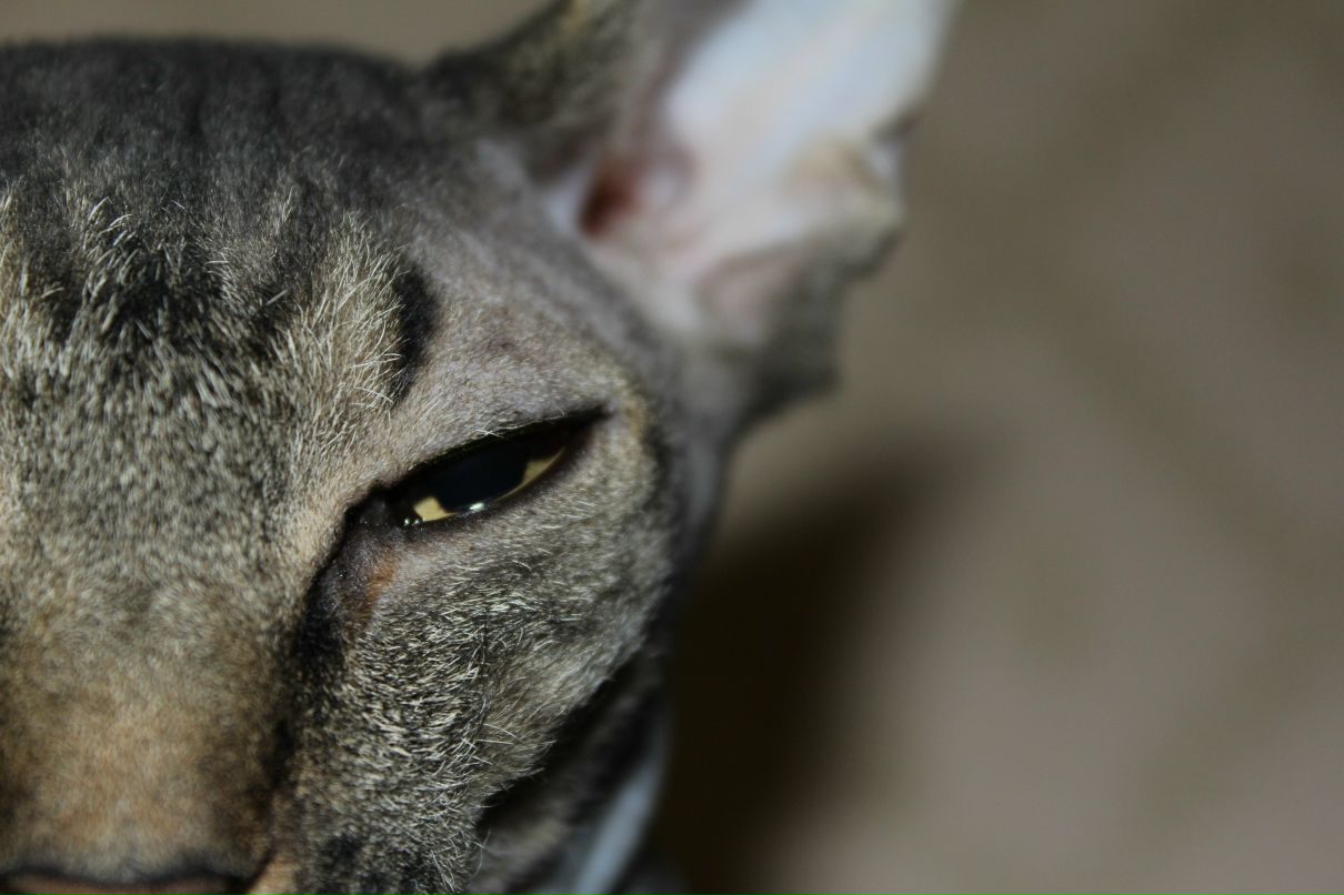 Виктор Напалков | 