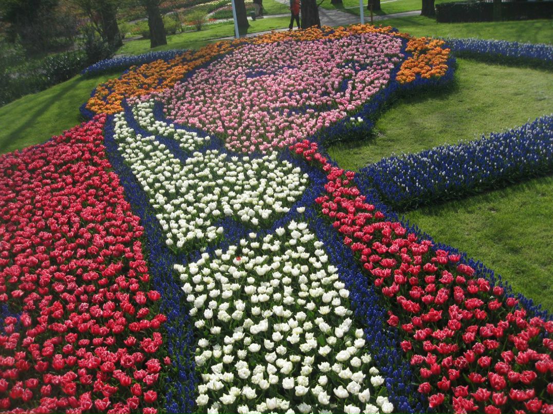 Полина Павлова | 