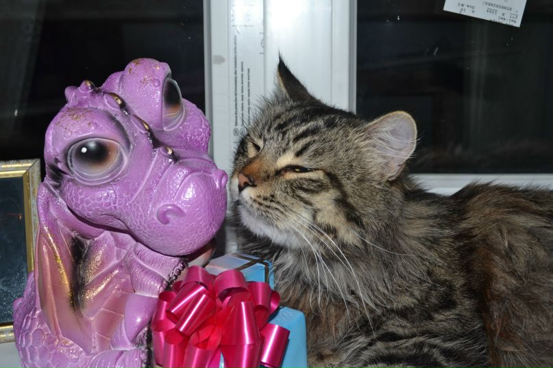 Анна Никифорова | Николаев