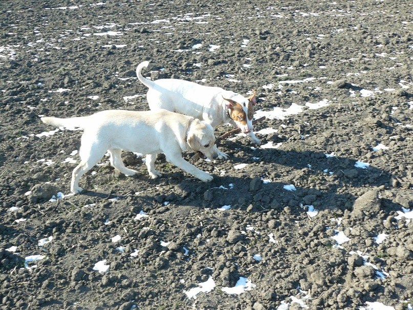 Инна Ошовская | Одесса