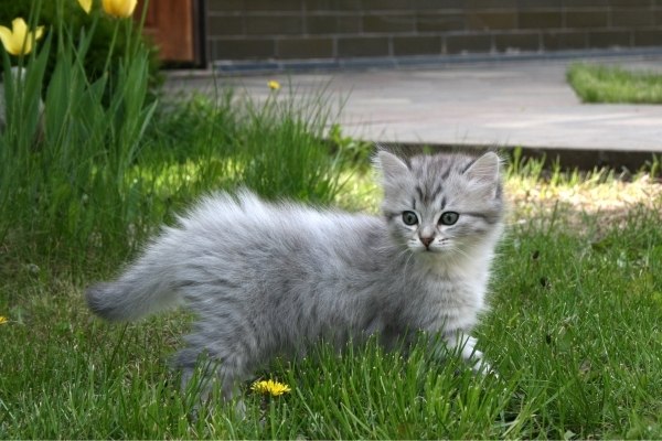 Антон Агалаков | Санкт-Петербург