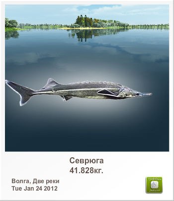 Валентина Безрук (Гуцулюк) | Татарбунары