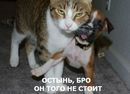 Фотография Димасичек Димкович