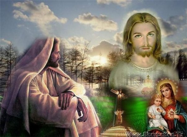 Елена Степанова | Санкт-Петербург