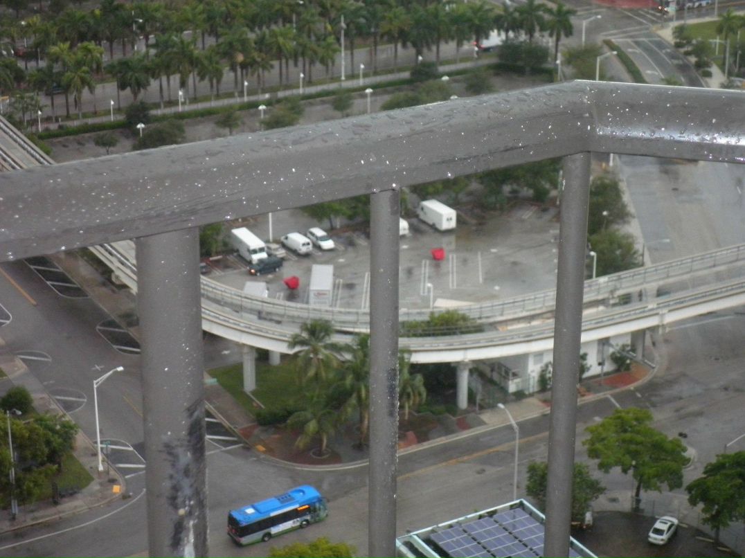 Айгуль Нурлыгаянова Лунный цветок | Казань