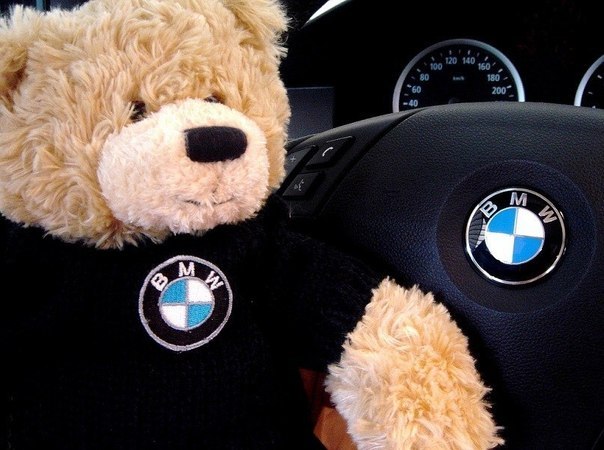 Люция Романова ♥ Дикая Кошка ♥ | Рязань