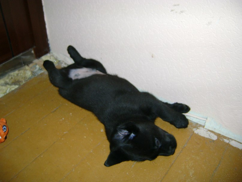 Паша Роскин | Мурманск