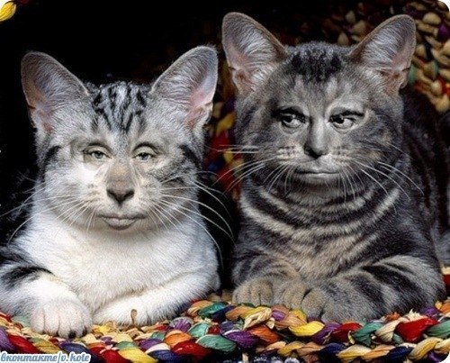 Виталий Иванов | Санкт-Петербург