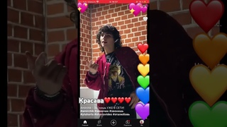 Красавчик ты наш❤️🧡💛💚💙💜🤍💖💓