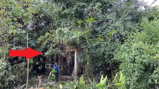 Terrified when cutting off giant roots clinging to the wall | Clean up house abandoned for 25 years
