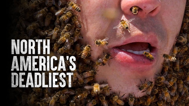 How to Survive North America s Deadliest