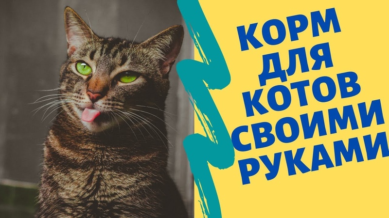 Домашний корм для