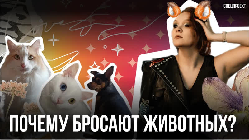 БЕЗДОМНЫЕ ЖИВОТНЫЕ: те, кто остались