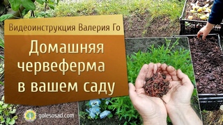 Домашняя червеферма в вашем саду!
