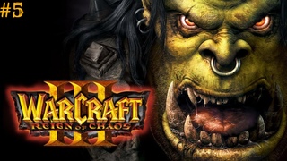 Прохождение Warcraft III: Reign of Chaos #5 (“Очищение Стратхольма“, “Берега Нортренда“)