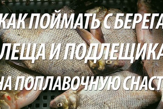 Секреты ловли подлещика и леща с берега на поплавочную снасть