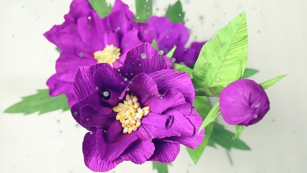 14: Làm hoa biosa bằng giấy nhún Biosa paper flower