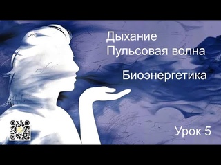 Дыхание (пульсовая волна). Биоэнергетика. Урок 5
