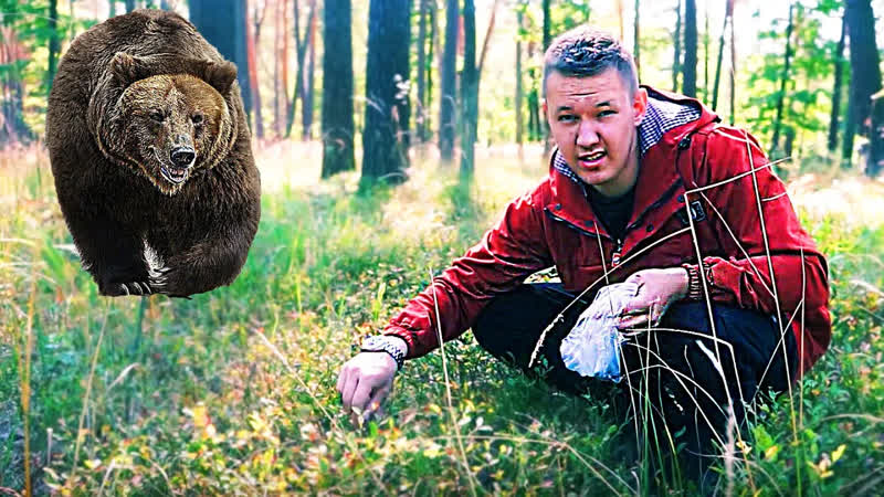 Выживание в лесу ЛАЙФХАКИ для ВЫЖИВАНИЯ в ЛЕСУ. Ушёл жить в