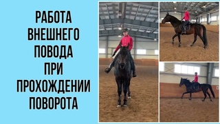 РАБОТА ВНЕШНЕГО ПОВОДА ПРИ ПРОХОЖДЕНИИ ПОВОРОТА