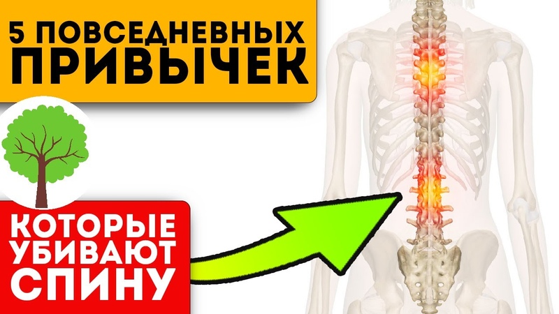 Хирург признался: чтобы позвоночник не высыпался в трусы,