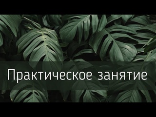 ПП практика /