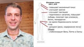 Обзор Шатавари гулам