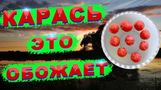 Насадка для рыбалки на КАРПА, КАРАСЯ, ЛЕЩА. Работает всё лето и всю осень.