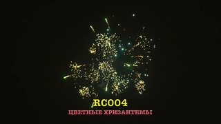 Римская свеча Цветные хризантемы