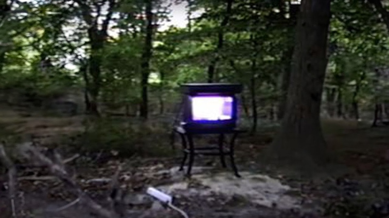 Unsettling Things Found In The
