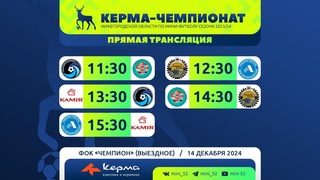 Мини-футбол. Керма-Чемпионат Нижегородской области сезона 2023/2024. ФОК «Чемпион» (Выездное)