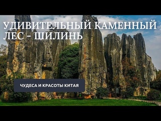 Каменный лес Шилинь // Чудеса и красоты Китая #путешествия #китай