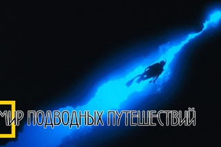 Дайвинг в гротах и пещерах Мальты