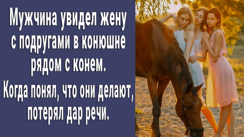 Мужчина увидел жену с подругами рядом с конем. Потерял дар