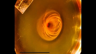 MAGNETO-TOROIDAL FIELD shown w/ new formulation