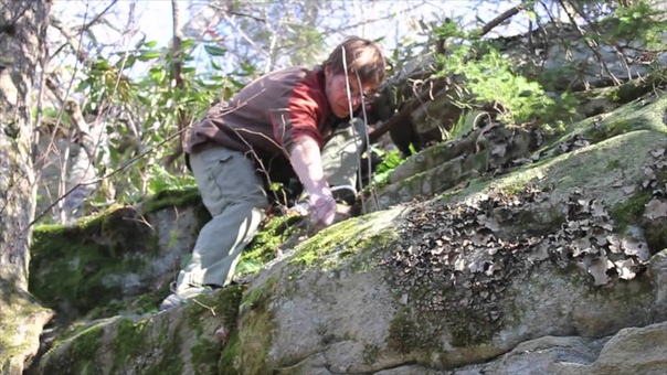 Bouldering