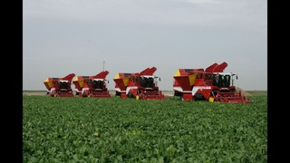 Beet Harvest XXL | 4x GRIMME MAXTRON 620 | self-propelled Beet Harvesters