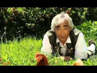Chicken Yodeling Song