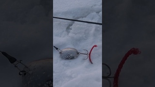 НА ЛОЖКУ! КАК МОЙ ДЕД ЛОВИЛ!) #shorts #fishing #рыбалка
