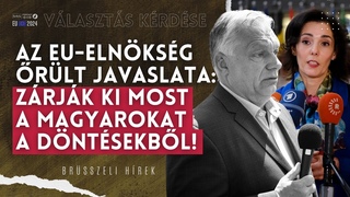 Az EU-elnksg rlt javaslata: zrjk ki most a magyarokat a dntshozatalbl! | Vlaszts krdse