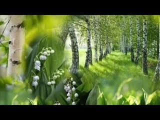 #медитация Майский лес с частотой 396 Гц избавления от #одиночества #асмр