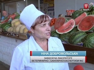 Телеканал ВІТА -Городничий- 2015-07-25 Нітрати у кавунах