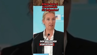 Alice Weidel mit Lehrstunde ber das GRUNDGESETZ  #politik #afd #shorts