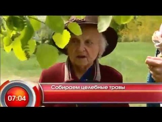 Собираем Целебные Травы с Сибирской Травницей Л.Н.Суриной