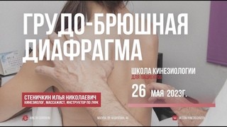 #23 Школа кинезиологии. Грудо-брюшная диафрагма. 26 мая 2023г.