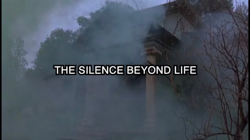 Fuming Mouth The Silence Beyond Life ( Lyric