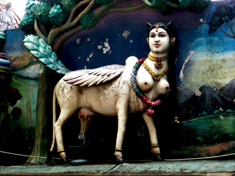 Анна Артамонова | Москва