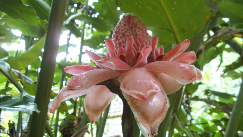 Наташа Громова | Кемерово