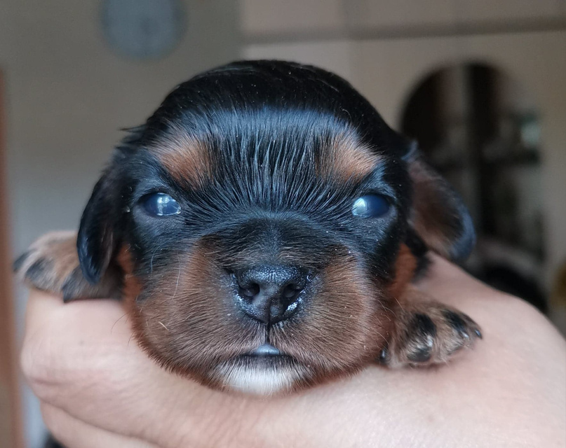 Валентина Алексеева | Уфа